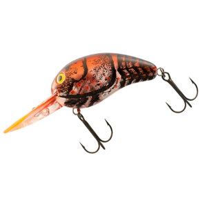 yGg[P10{Izyiz _C gChs[ibc t@guEN[ [[]