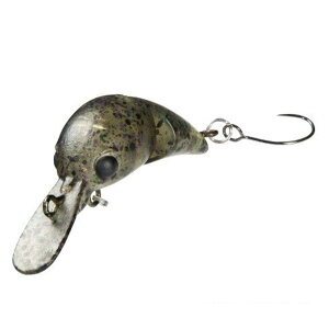 yGg[P10{IzV}m J[fBt тƂ 25F TR-125N 16T XibNybg [[]