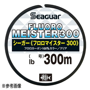 yGg[P10{IzNn tJ[{C V[K[ t}CX^[300 300m 16lb(4) [4]