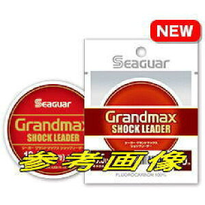 yGg[P10{IzNn tJ[{C V[K[ Oh}bNX VbN[_[ 30m 24lb(5) [[]