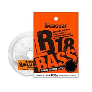 yGg[P10{IzNn V[K[ R18 BASS 160m 14lb [4]