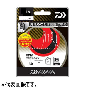 yGg[P10{Iz_C l TYPE-E  200m 1.25lb (0.25) [[]