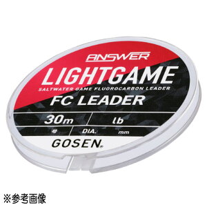 yGg[P10{IzS[Z(GOSEN) tJ[{C AT[ CgQ[FC[_[ 30m 4lb(1) i` [[]