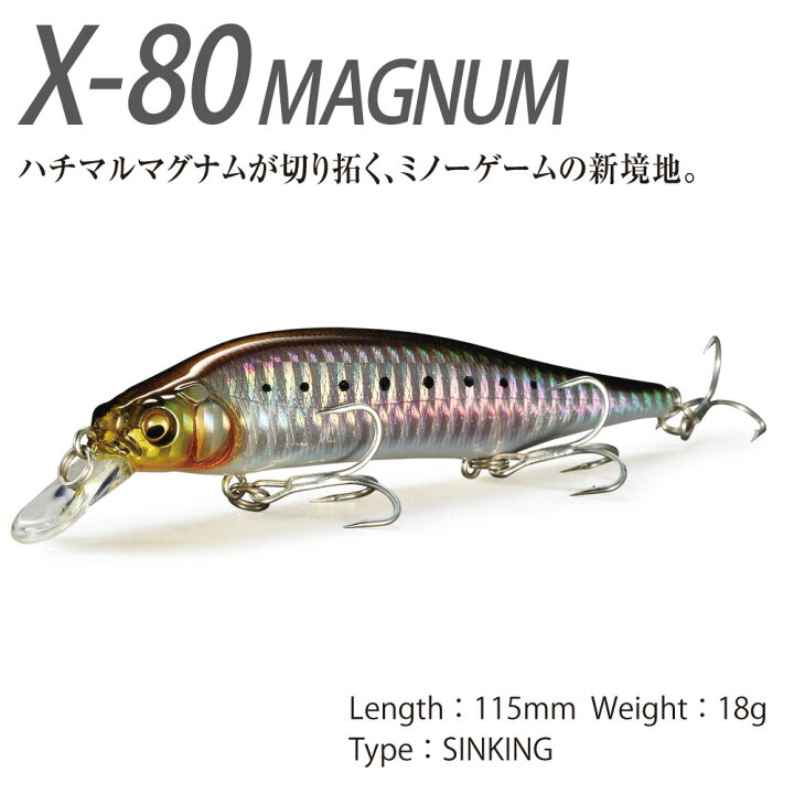 楽天市場】【2024大阪受注会限定】メガバス X-80 MAGNUM (X-80 