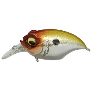 yGg[P10{IzKoX New SR-X GRIFFON(j[SR-XOtH) M EGX^NEII [[]