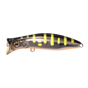 ���K�o�X [2025 Limited] KIRINJI (�L�����W) 70 YMC [���[����]