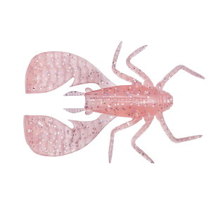 yGg[P10{IzKoX FUWABUG(toO) 2.5inch NAsNz [[]