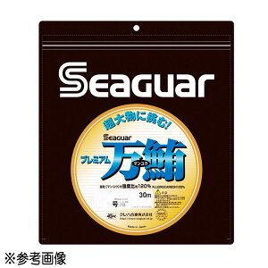 yGg[P10{IzNn V[K[ v~A 30m 16 [[]