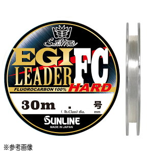 yGg[P10{IzTC \eBCg GM[_[FCn[h 30m 1.75 NAy2024NViz [[]