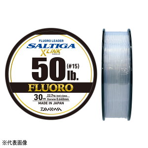 yGg[P10{Iz_C \eBK t[_[ NXN 30m 50lb (#15) i` [4]