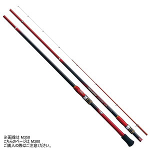 yGg[P10{IzV}m bh '19 V[A Cޖx M300 [5]