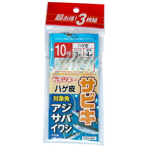 yGg[P10{IzhL[ DSA-004 nQTrL 3g 10 [[]