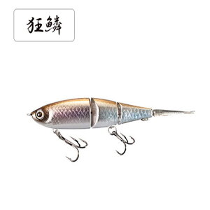 yGg[P10{IzV}m o^ BtxCg 99SS ZR-599T 001 LEJTM [4]