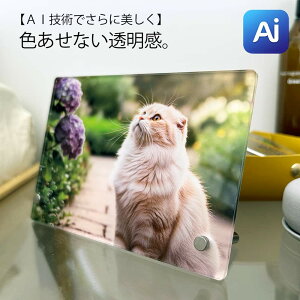 yAI@\ڂŊȒPɎōz IWi ANtHg X^h i`j Ǌ| I[_[Ch v[g 蕨 LO a Ƒ  Y  ʐ^ tHg