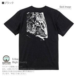 yyVC[OXӍ20%OFFz ނ TVc  N_C nG() 5.6oz (IX) 100% Y fB[X  傫TCY zCg ubN O[ AC{[   DF F t  