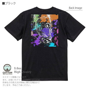 yyVC[OXӍ20%OFFz ނ TVc  RC yLyCg 5.6oz (IX) 100% Y fB[X  傫TCY zCg ubN O[ AC{[   DF F t 