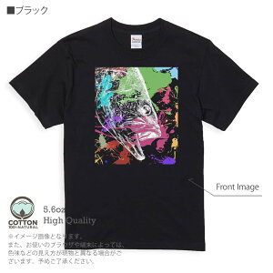 yyVC[OXӍ 20%OFFz ނ TVc  ubNoX2 yLyCg 5.6oz (IX) 100% Y fB[X  傫TCY zCg ubN O[ AC{[   DF 