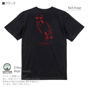 ނ TVc  ь g Koi Fish zCg 5.6oz (IX) 100% Y fB[X  傫TCY zCg ubN O[ AC{[   DF F t  H ~ IV ނ  