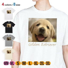 犬 Tシャツ 半袖 ゴールデンレトリバーの子犬 5.6oz (オンス) 綿100% メンズ レディース 洗濯 大きいサイズ ホワイト ブラック グレー アイボリー 白 黒 灰色 肌色 春 夏 秋 冬 オシャレ かわいい イヌ いぬ 雑貨