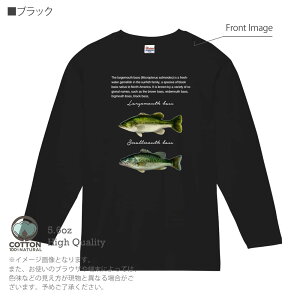 yyVC[OXӍ 20%OFFz ނ TVc  IIN`oX([W}EXoX)ƃRN`oX(X[}EXoX) 5.6oz (IX) 100% Y fB[X  傫TCY zCg u