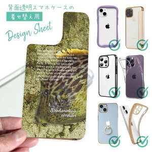 X}zP[X iPhone Google Pixel Xperia Galaxy AQUOS arrows ւ V[g Ci[V[g X}zJo[ w  NA IWi fUC ނ  A[ JnM