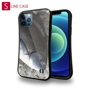 S-LINE P[X iPhone13 mini iPhone13 Pro Max iPhone12 Pro iPhone11 Pro iPhoneXs iPhoneXR Xperia 5 III Xperia 10 III Pixel 5a AQUOS sense6 ނ  A[ IiKO2