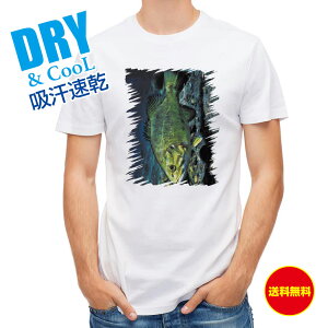 ނ TVc AEghA ΐ̉ ubNoX ނ  A[ T Vc Y  S  t  H Ci[  ʔ 傫TCY  |GXe 