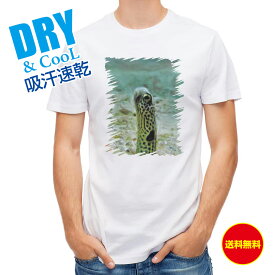 楽天市場 アナゴ 釣りの通販