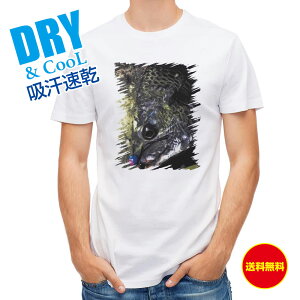 ނ TVc AEghA ؃N_C ނ  A[ T Vc Y  S  t  H Ci[  ʔ 傫TCY  |GXe 