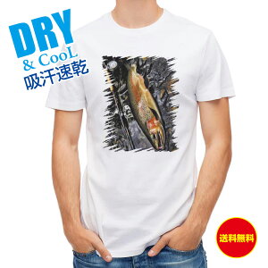 ނ TVc AEghA jW}XF ނ  A[ T Vc Y  S  t  H Ci[  ʔ 傫TCY  |GXe 