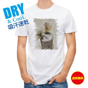 ނ TVc AEghA tC ނ  A[ T Vc Y  S  t  H Ci[  ʔ 傫TCY  |GXe 