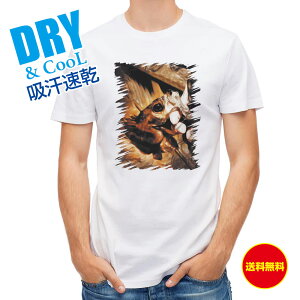 ނ TVc AEghA oqbg! ނ  A[ T Vc Y  S  t  H Ci[  ʔ 傫TCY  |GXe 