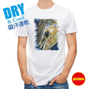 ނ TVc AEghA \w̉VC ނ  A[ T Vc Y  S  t  H Ci[  ʔ 傫TCY  |GXe 