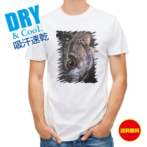 ނ TVc AEghA o ނ  A[ T Vc Y  S  t  H Ci[  ʔ 傫TCY  |GXe 