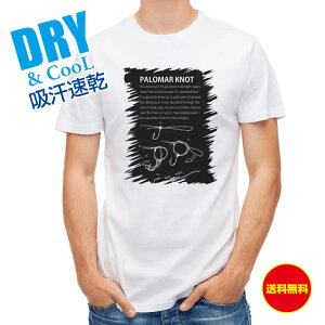 ނ TVc AEghA p}[mbg() ނ  A[ T Vc Y  S  t  H Ci[  ʔ 傫TCY  |GXe 