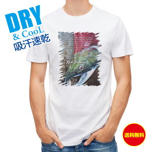 ނ TVc AEghA bhT[ ނ  A[ T Vc Y  S  t  H Ci[  ʔ 傫TCY  |GXe 