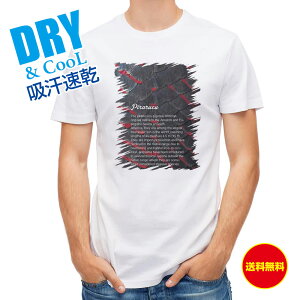 ނ TVc AEghA sN̗ ނ  A[ T Vc Y  S  t  H Ci[  ʔ 傫TCY  |GXe 