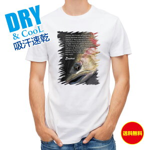 ނ TVc AEghA } ނ  A[ T Vc Y  S  t  H Ci[  ʔ 傫TCY  |GXe 