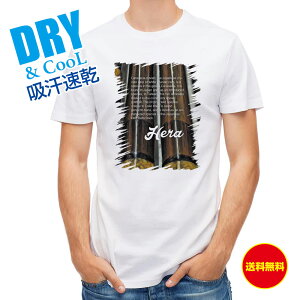 ނ TVc AEghA wuiނ ނ  A[ T Vc Y  S  t  H Ci[  ʔ 傫TCY  |GXe 