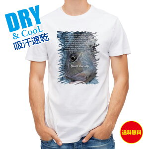 ނ TVc AEghA WCAggo[(GT) ނ  A[ T Vc Y  S  t  H Ci[  ʔ 傫TCY  |GXe 