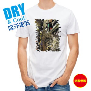 ނ TVc AEghA WvoX2 ނ  A[ T Vc Y  S  t  H Ci[  ʔ 傫TCY  |GXe 