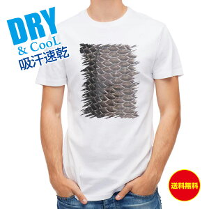 ނ TVc AEghA N_C ނ  A[ T Vc Y  S  t  H Ci[  ʔ 傫TCY  |GXe 