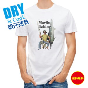 ނ TVc AEghA JWLނ ނ  A[ T Vc Y  S  t  H Ci[  ʔ 傫TCY  |GXe 