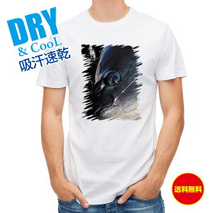 ނ TVc AEghA Õn| ނ  A[ T Vc Y  S  t  H Ci[  ʔ 傫TCY  |GXe 