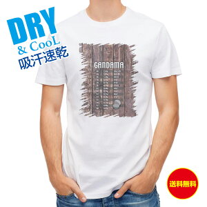 ނ TVc AEghA KʊZ\ ނ  A[ T Vc Y  S  t  H Ci[  ʔ 傫TCY  |GXe 