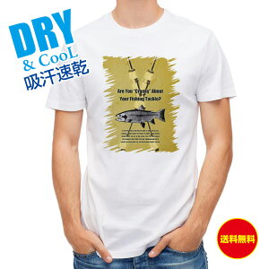 ނ TVc AEghA Are You Cranky About Your Fishing Tackle? ނ  A[ T Vc Y  S  t  H Ci[  ʔ 傫TCY  |GXe 