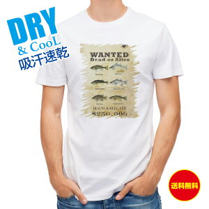 ނ TVc AEghA WANTED BASS ނ  A[ T Vc Y  S  t  H Ci[  ʔ 傫TCY  |GXe 