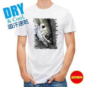 ނ TVc AEghA }AW ނ  A[ T Vc Y  S  t  H Ci[  ʔ 傫TCY  |GXe 