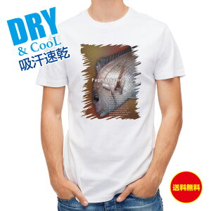 ނ TVc AEghA }_C̃n[tg[ ނ  A[ T Vc Y  S  t  H Ci[  ʔ 傫TCY  |GXe 