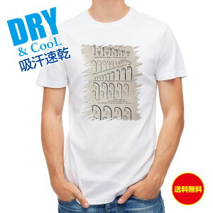 ނ TVc AEghA A[ptbN ނ  A[ T Vc Y  S  t  H Ci[  ʔ 傫TCY  |GXe 